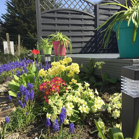 Bed & Breakfast Au Bon Accueil